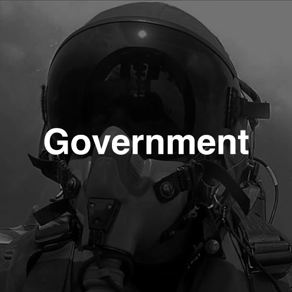 Government Section Graphic Link