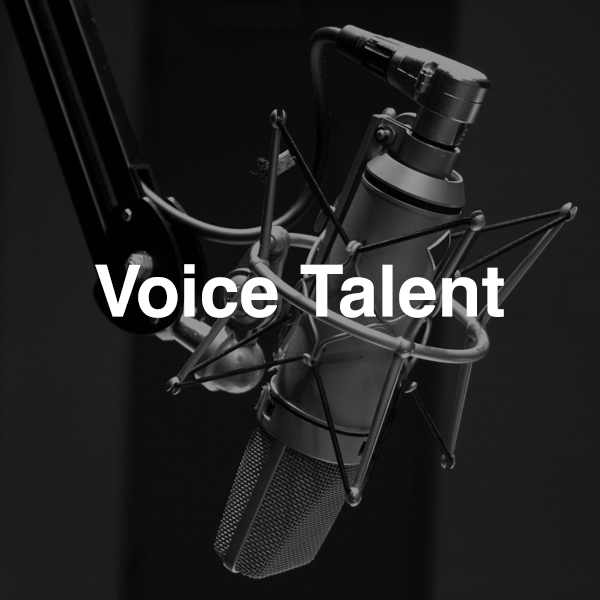 Voice Talent page button