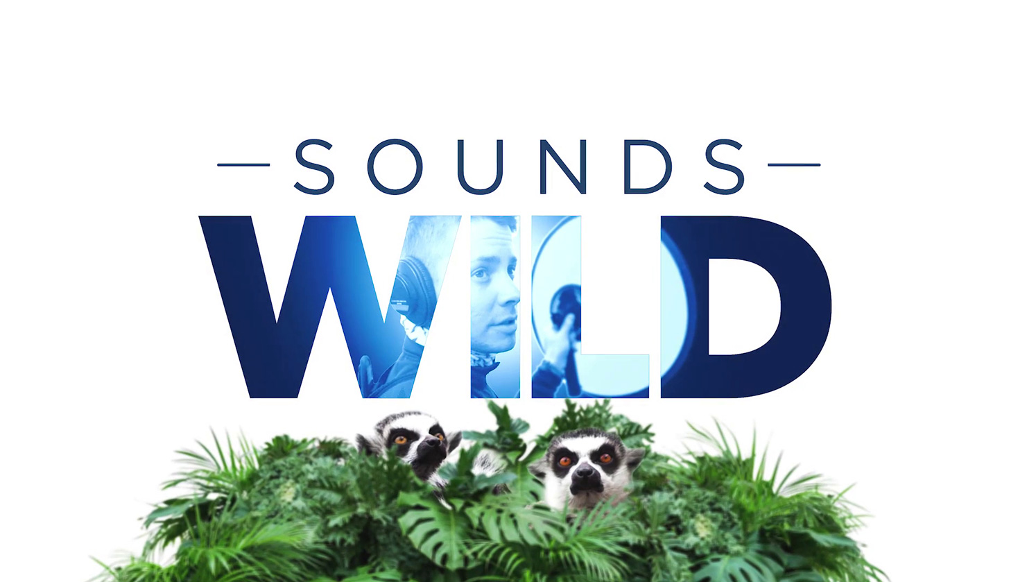 Sounds Wild page link