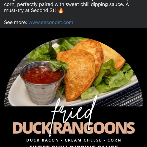 FB-2nd-St-Wmsbg-fried-Duck-Rangoons.jpg