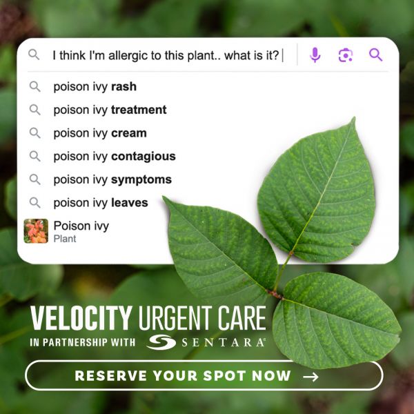 VUC-summer-poison-ivy.jpg