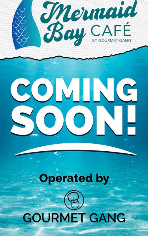 MBC-RetractableBanner-ComingSoon.jpg