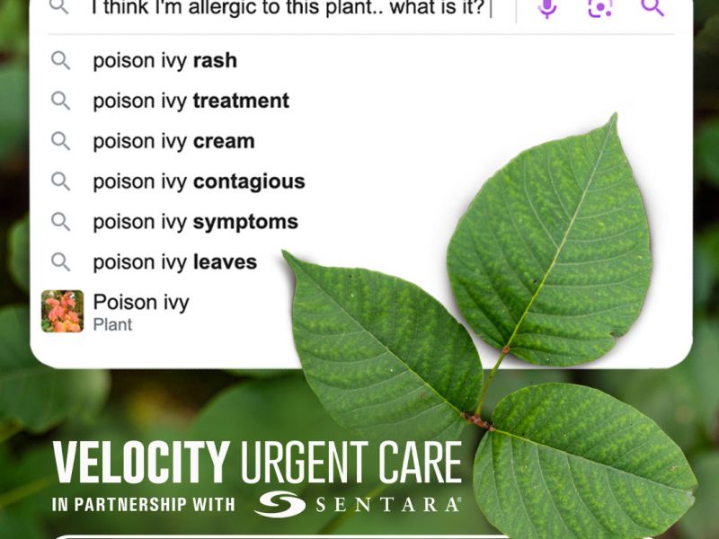 VUC-summer-poison-ivy.jpg