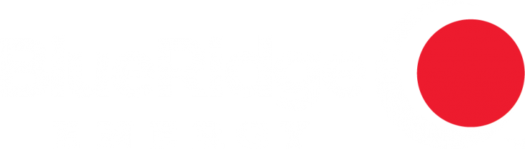 Blue Ridge Energy logo