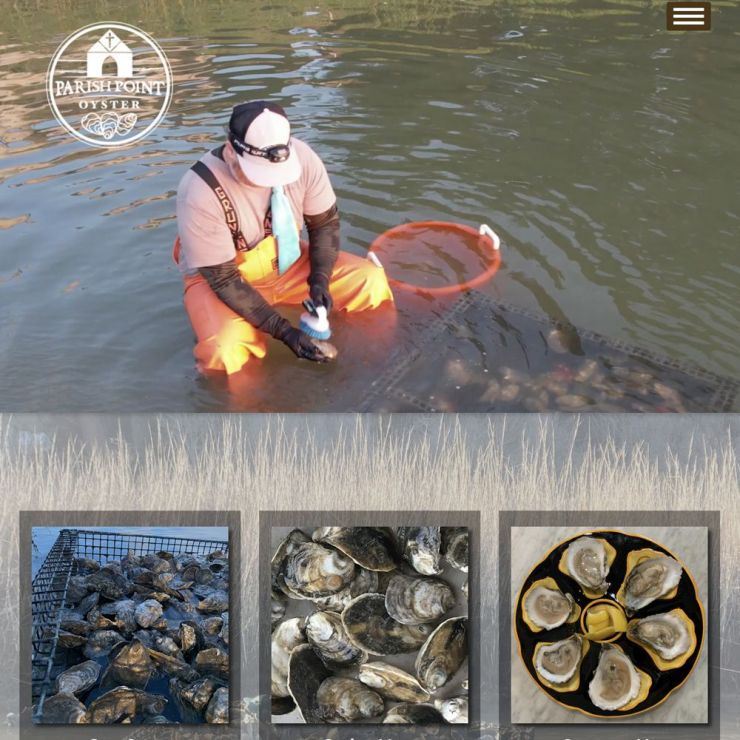 Parish Point Oyster website