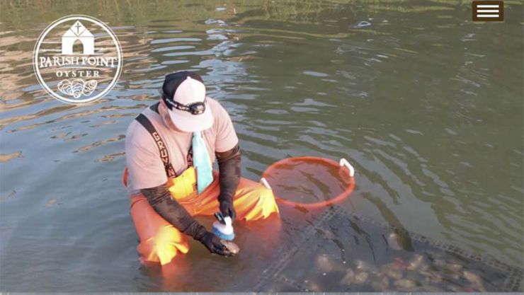 Parish point website image link