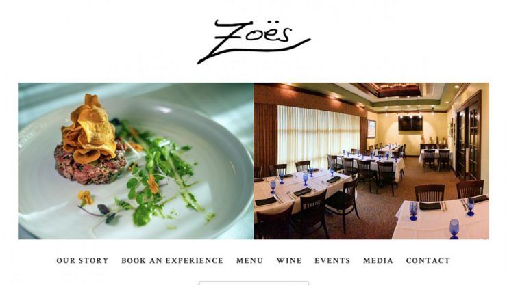 Zoes website image link